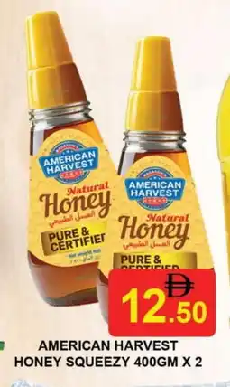 Al Madina AMERICAN HARVEST Honey offer
