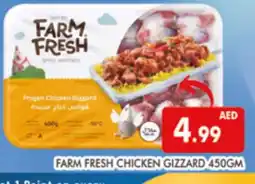 Al Madina FARM FRESH Chicken Gizzard offer
