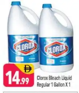 Shaklan CLOROX Bleach offer