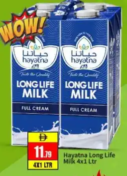 Bigmart HAYATNA Full Cream Milk offer