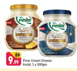 Shaklan PINAR Cheddar Cheese offer