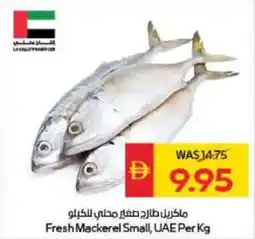 Spar Fresh Mackerel Small offer