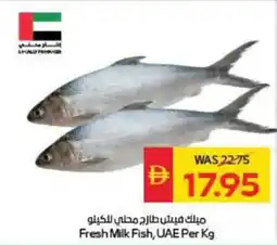 Spar Fresh Milk Fish offer