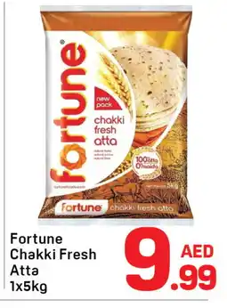 Day To Day FORTUNE Atta offer