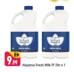 Shaklan HAYATNA Fresh Milk offer