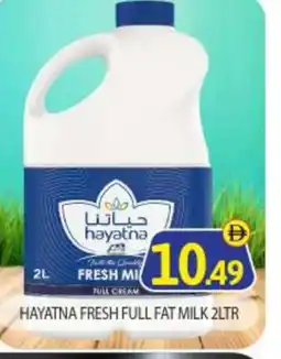 Bigmart HAYATNA Full Cream Milk offer