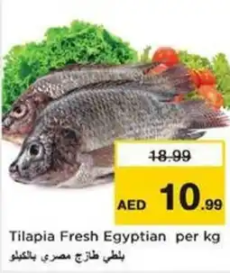 Nesto Tilapia Fresh Egyptian offer