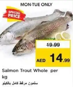 Nesto Salmon Trout Whole offer