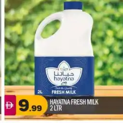 Bigmart HAYATNA Fresh Milk offer