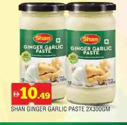 Al Madina SHAN Garlic Paste offer
