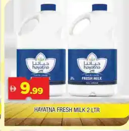Al Madina HAYATNA Fresh Milk offer