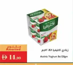 Istanbul Supermarket ACTIVIA Yoghurt offer