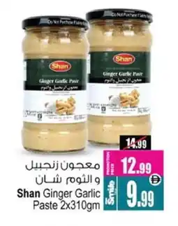 Ansar Gallery SHAN Garlic Paste offer