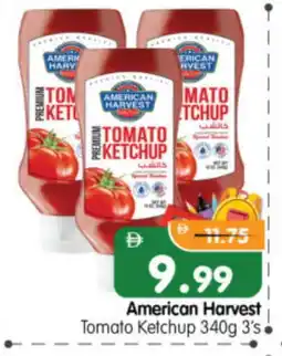 Al Madina Hypermarket AMERICAN HARVEST Tomato Ketchup offer