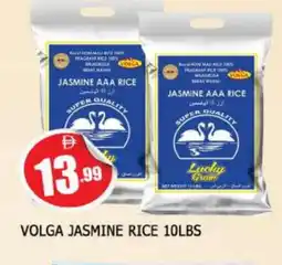 Al Madina VOLGA Jasmine Rice offer