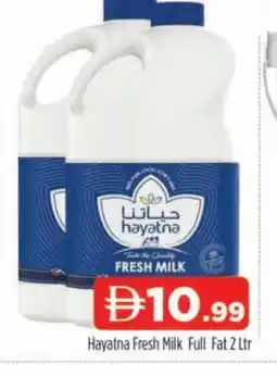 Al Madina HAYATNA Fresh Milk offer