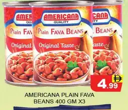 Al Madina AMERICANA Fava Beans offer