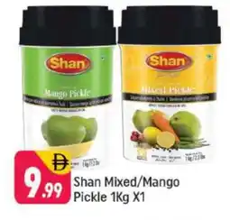 Shaklan SHAN Pickle offer