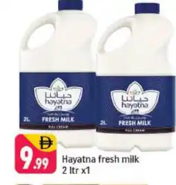 Shaklan HAYATNA Fresh Milk offer