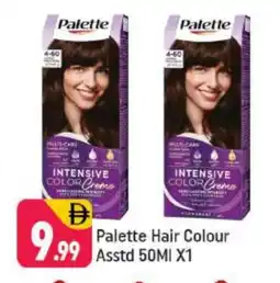 Shaklan PALETTE Hair Colour offer