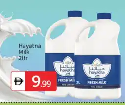 Talal Market HAYATNA Full Cream Milk offer