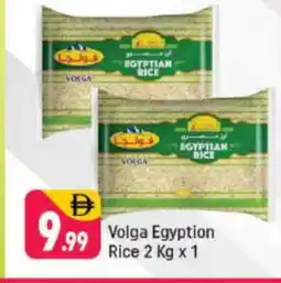 Shaklan VOLGA Egyptian / Calrose Rice offer