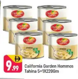 Shaklan CALIFORNIA Tahina & Halawa offer