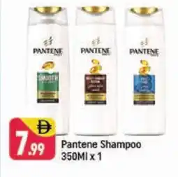 Shaklan PANTENE Shampoo / Conditioner offer