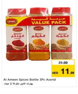 Nesto AL AMEEN Spices / Masala offer