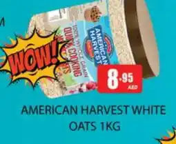 Zain Hypermarket AMERICAN HARVEST Oats offer