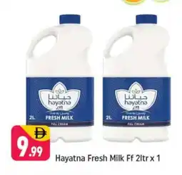Shaklan HAYATNA Full Cream Milk offer