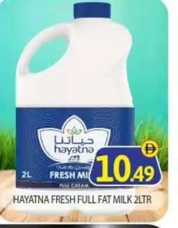 Bigmart HAYATNA Full Cream Milk offer