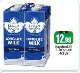 Bigmart HAYATNA Full Cream Milk offer