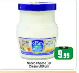 Bigmart NADEC Cream Cheese offer