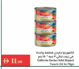 Istanbul Supermarket CALIFORNIA GARDEN Tuna - Canned offer