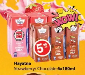 Zain Hypermarket HAYATNA Flavoured Milk offer