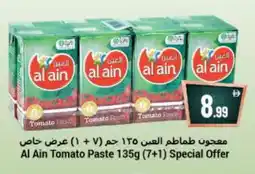Bigmart AL AIN Tomato Paste offer