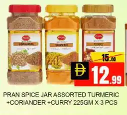 Mango Hypermarket LLC PRAN Spices / Masala offer
