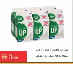 Istanbul Supermarket AL AIN Laban offer