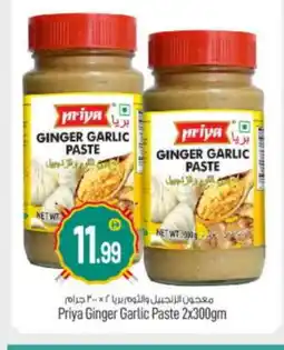 Bigmart PRIYA Garlic Paste offer