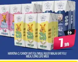 Bigmart HAYATNA Long Life / UHT Milk offer