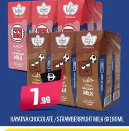 Bigmart HAYATNA Flavoured Milk offer