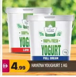 Bigmart HAYATNA Yoghurt offer