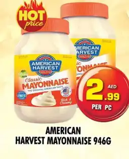 Night to Night Hypermarket AMERICAN CLASSIC Mayonnaise offer