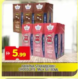 Al Madina HAYATNA Flavoured Milk offer