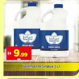 Al Madina HAYATNA Fresh Milk offer