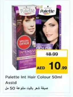 Nesto PALETTE Hair Colour offer