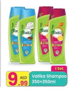 Everyday Center VATIKA Shampoo / Conditioner offer