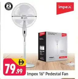 Shaklan IMPEX Fan offer