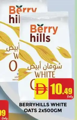 Al Madina BERRY HILLS Oats offer